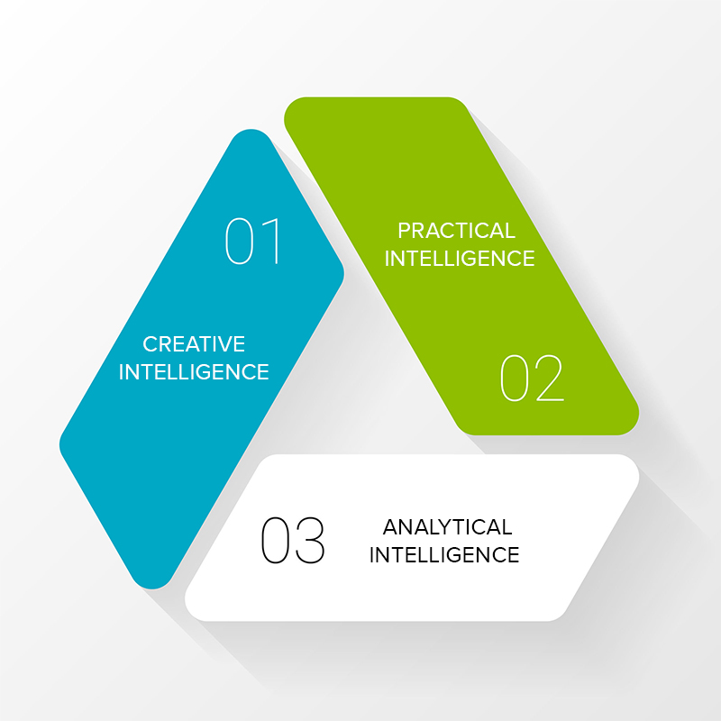 3 Types of Intelligence and How to Master Them