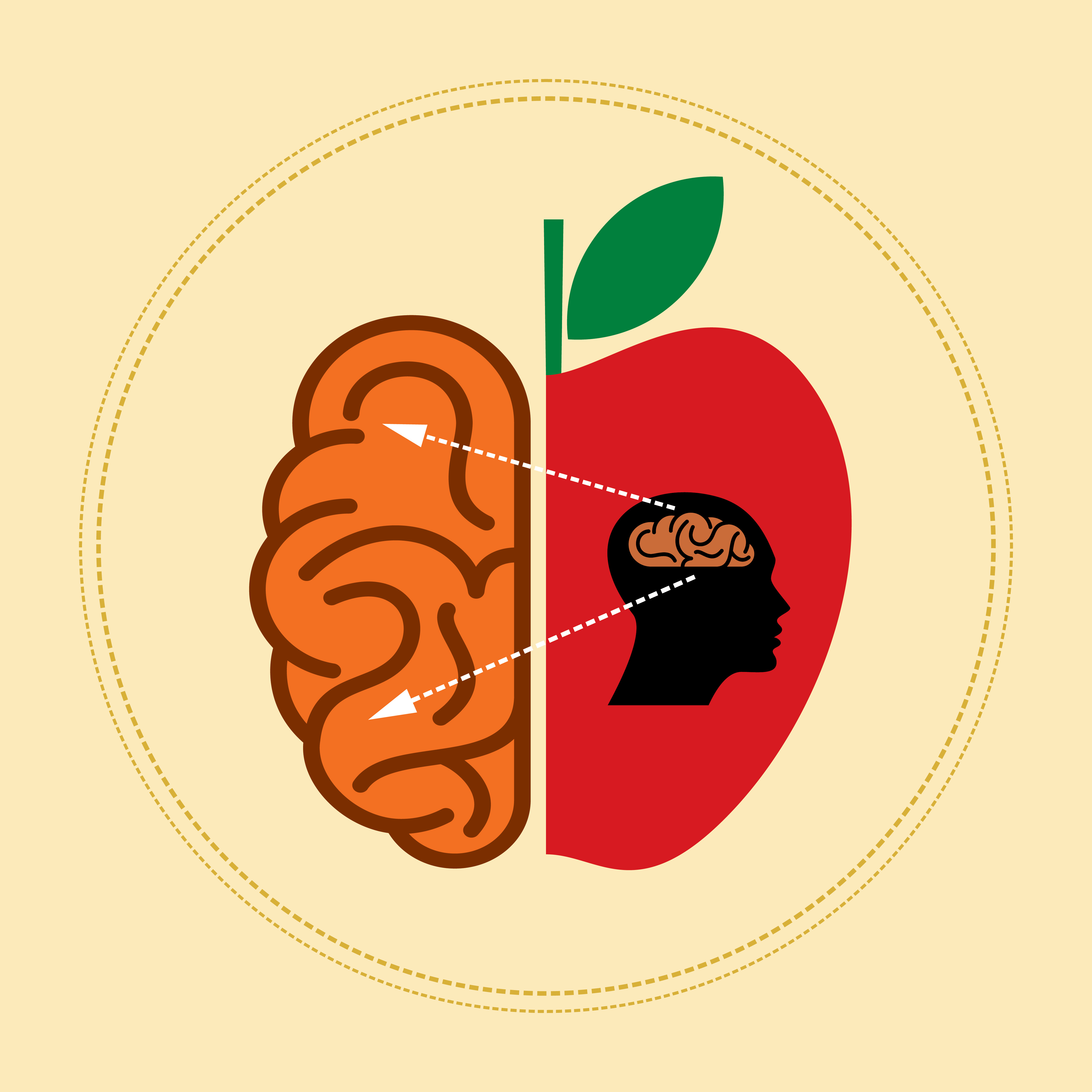 Fuel For Grey Matte Best Brain Foods For Kids