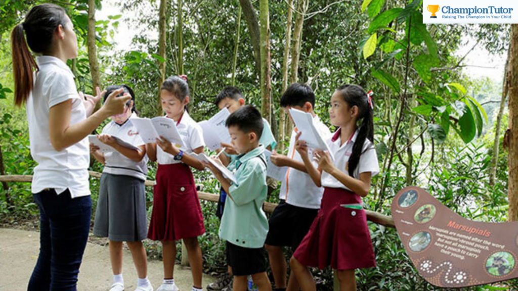 school learning journey singapore