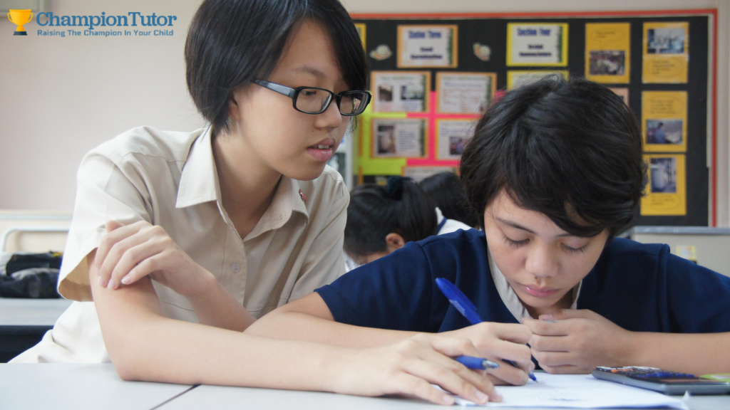 The Role of Volunteer Tutor in students life | Champion Tutor