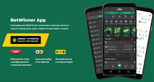 Betwinner Mobile The Ultimate Betting Experience on Your Device