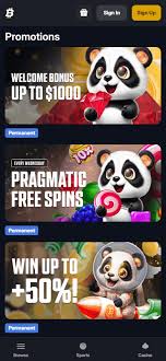 Master Your Finances with Aztec Magic Bankroll Strategy